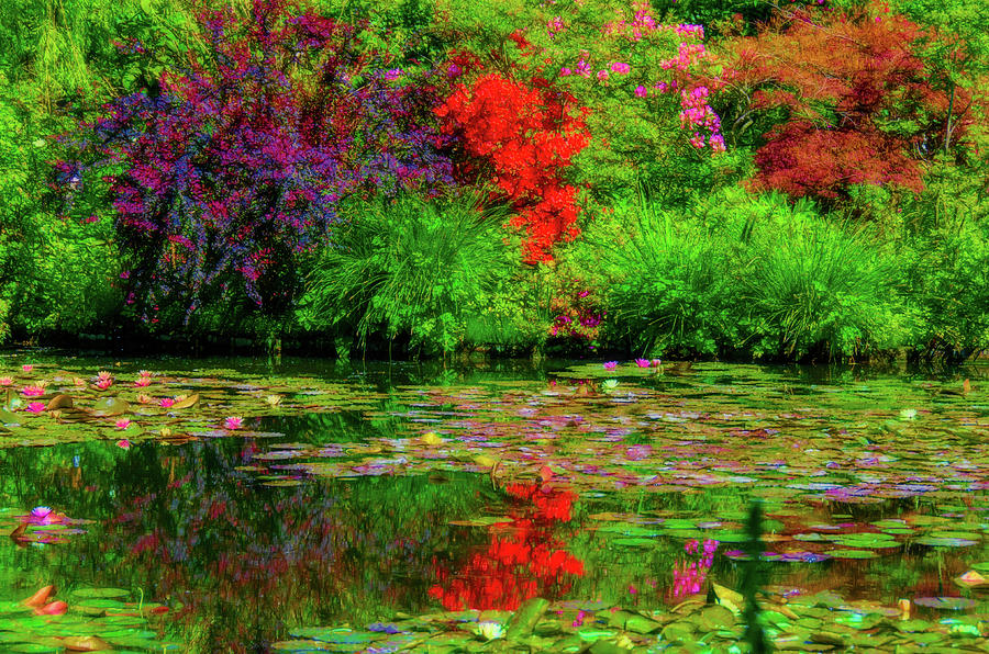 Claude Monet Water Garden Photograph by Douglas Wielfaert