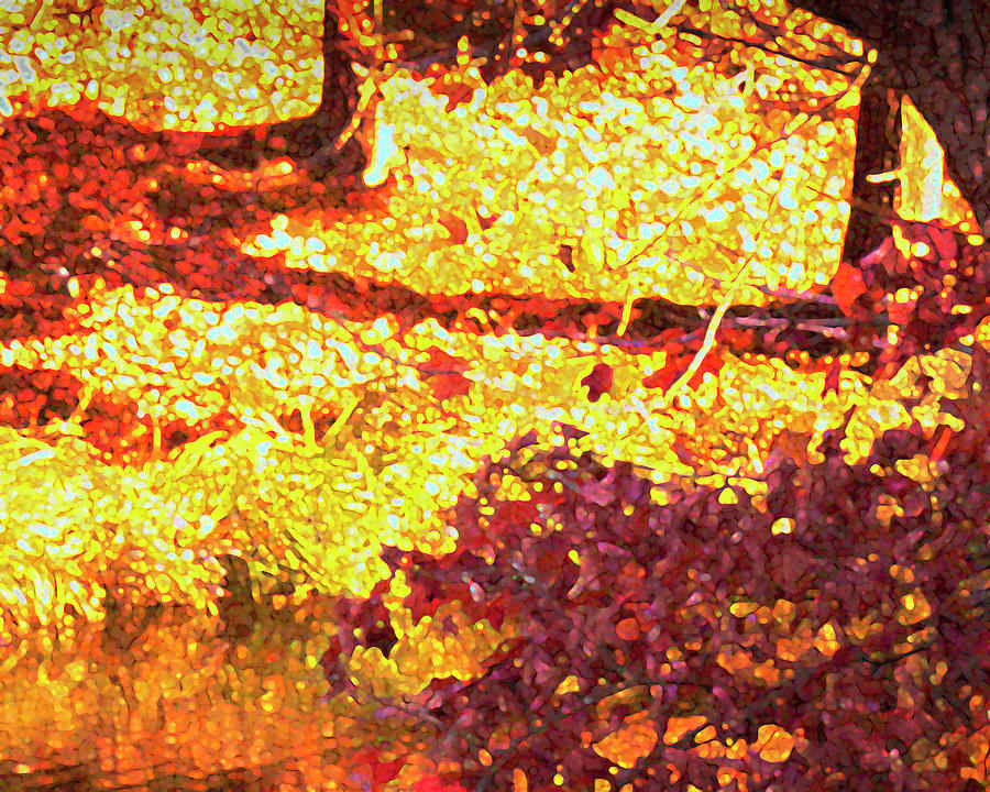 Monet Shadows Digital Art by George Harth