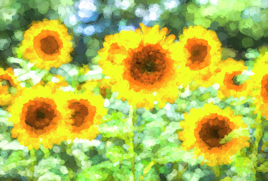 Monet Sunflowers Photograph