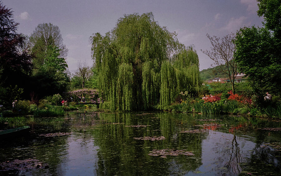 Monets Garden #2 France Photograph by Lorraine Palumbo