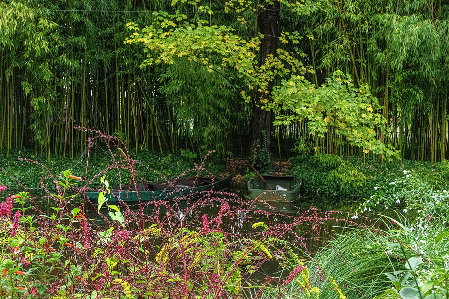 Monets Garden Scene Photograph by Douglas Wielfaert