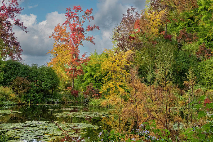 Monets Lily Pond in Autumn Photograph by Douglas Wielfaert