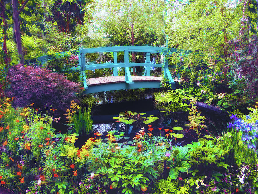 Nature Photograph - Monets Lily Pond by Jessica Jenney