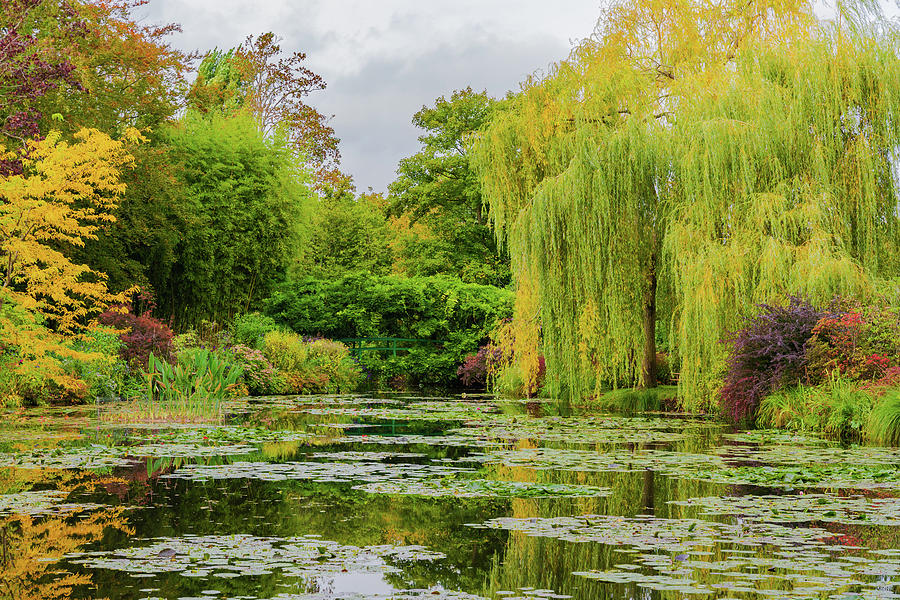 Monets Pond in Autumn Photograph by Liz Albro