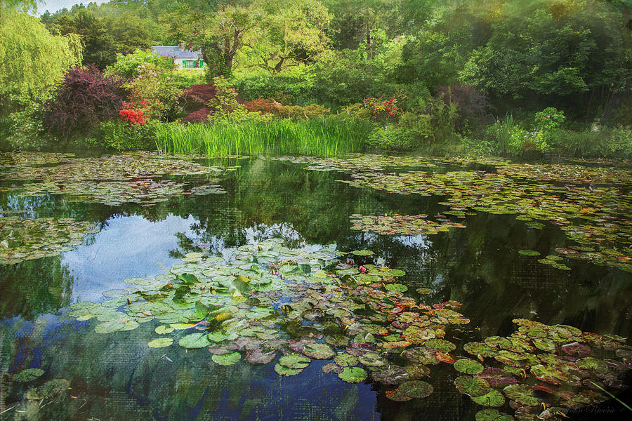 Monets Water Lilies Pond Photograph by John Rivera