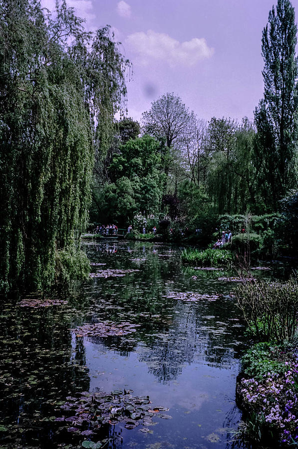 Monets Water Lily Garden Photograph by Lorraine Palumbo