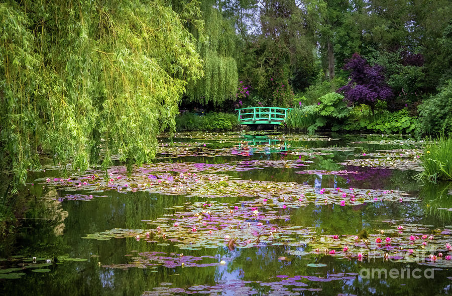 Claude Monet Photograph - Monets Waterlily Pond, Giverny, France by Liesl Walsh