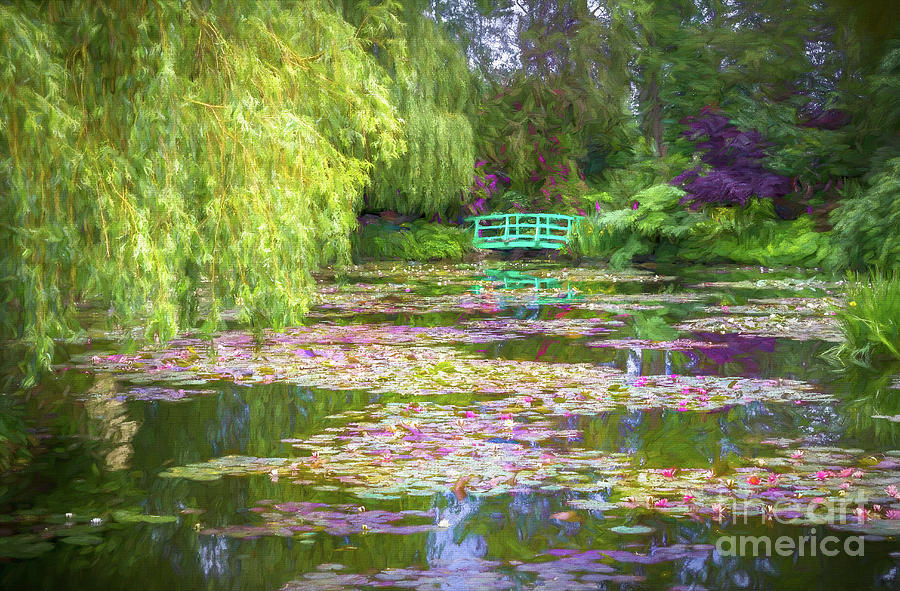 Monets Waterlily Pond, Giverny, France, Painterly Photograph by Liesl Walsh