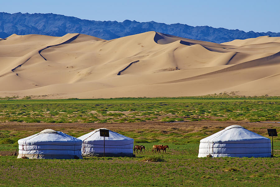 Mongolia, Gobi desert, Khongoryn Els dunes Photograph by Tuul & Bruno Morandi
