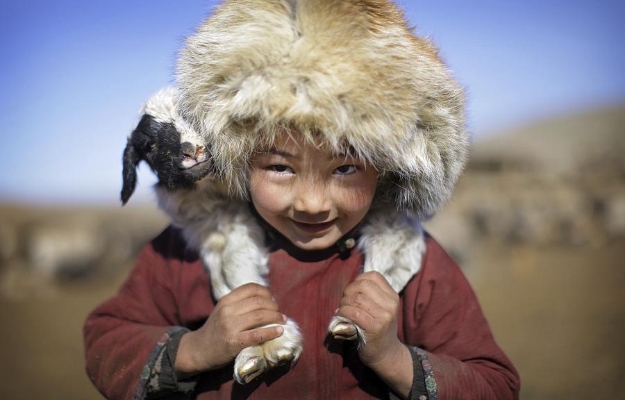 Mongolian nomadic boy carries lamb on shoulders Photograph by Timothy Allen
