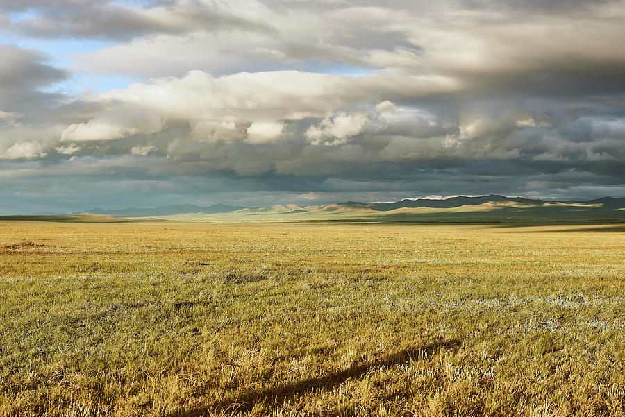 mongolische Steppe