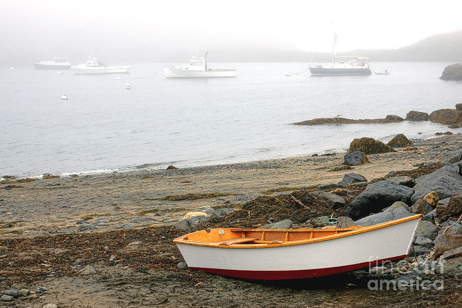 Monhegan Island Sterling Cove Photograph by Olivier Le Queinec