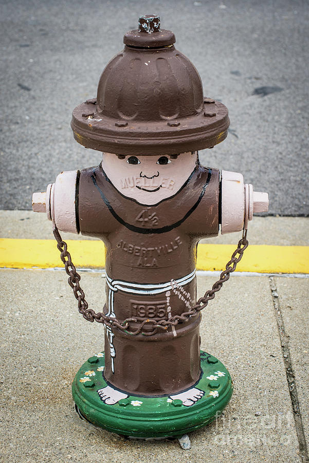 Monk Painted Fire Hydrant - Indiana Photograph by Gary Whitton