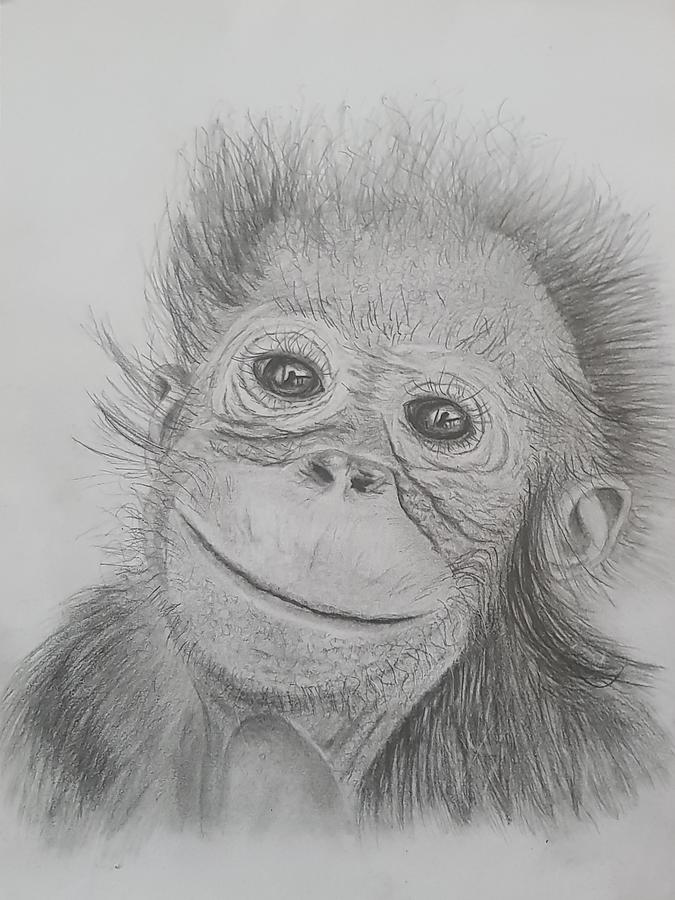 Monkey by Agata Siemiatkowska