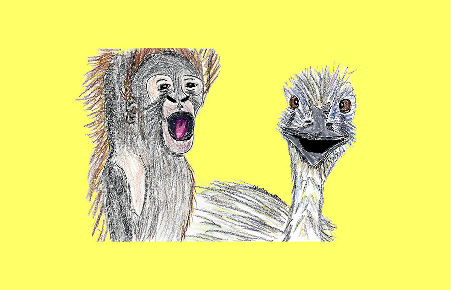 Monkey and Emu Transparent Background Drawing by Ali Baucom