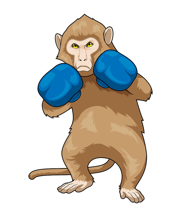 boxing monkey