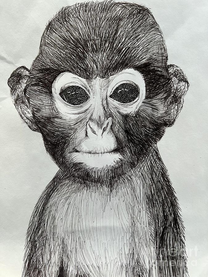 Monkey Business Drawing by Brandon Fredette | Fine Art America