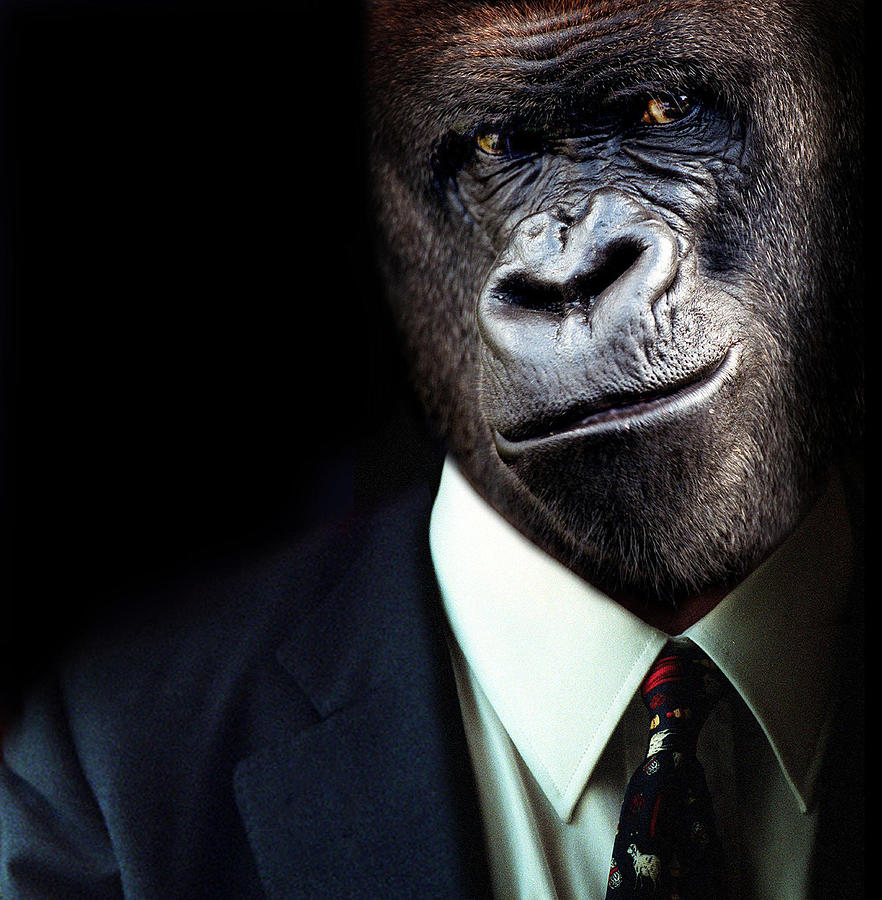 Monkey Business Photograph by Greg Newington