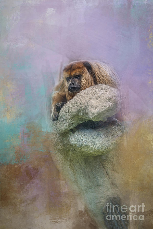 Monkey captured with texture Digital Art by Amy Dundon