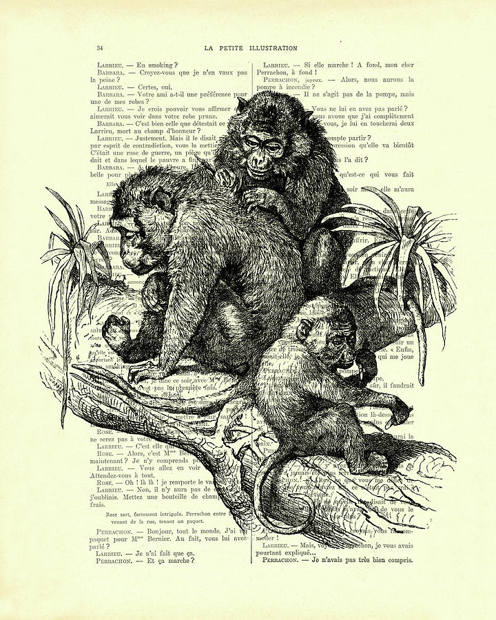 Wildlife Mixed Media - Monkey Family by Madame Memento