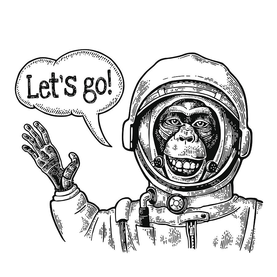 Monkey in astronaut suit smiles and waves his hand. Vintage black engraving Drawing by DenPotisev