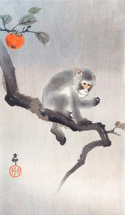 Monkey In Cockatoo By Ohara Koson Painting