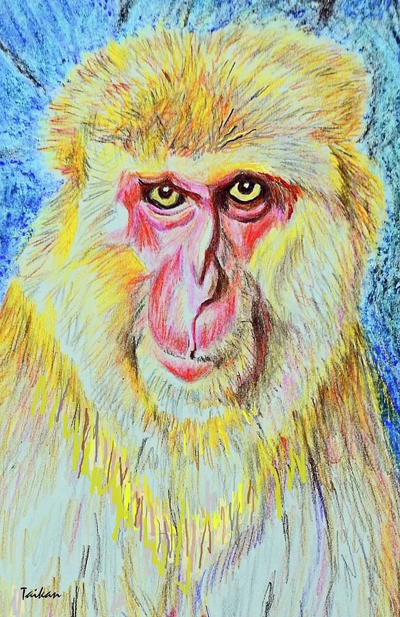 Monkey King Drawing by Taikan Nishimoto
