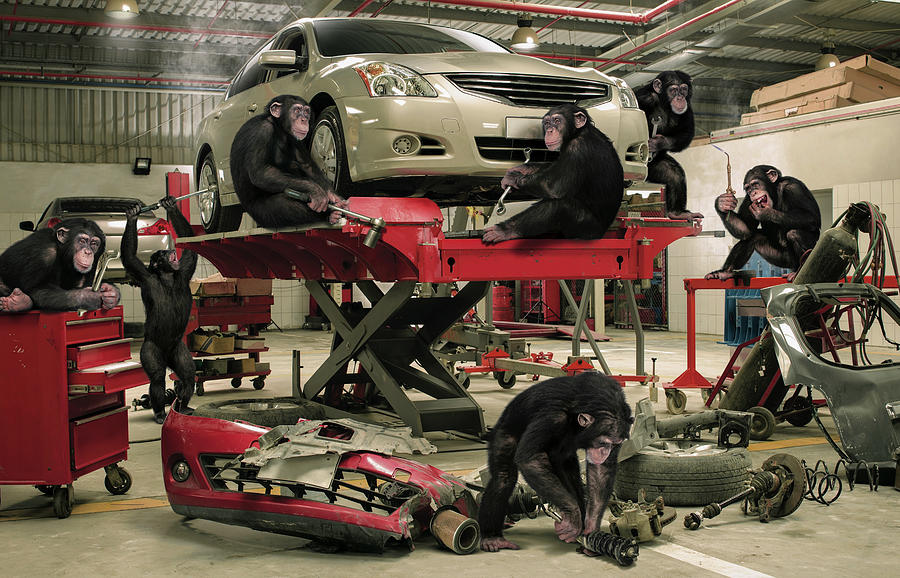 Monkey Mechanics Photograph By David Taylor-Bramley - Fine Art America