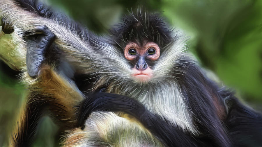 Monkey Stache Digital Art by Brad Barton