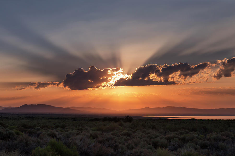 Mono Basin Sunrise Photograph by Rick Pisio