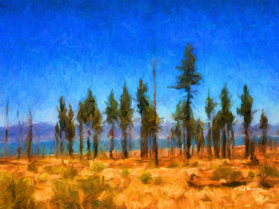 Mono Lake, California Painting by Trask Ferrero