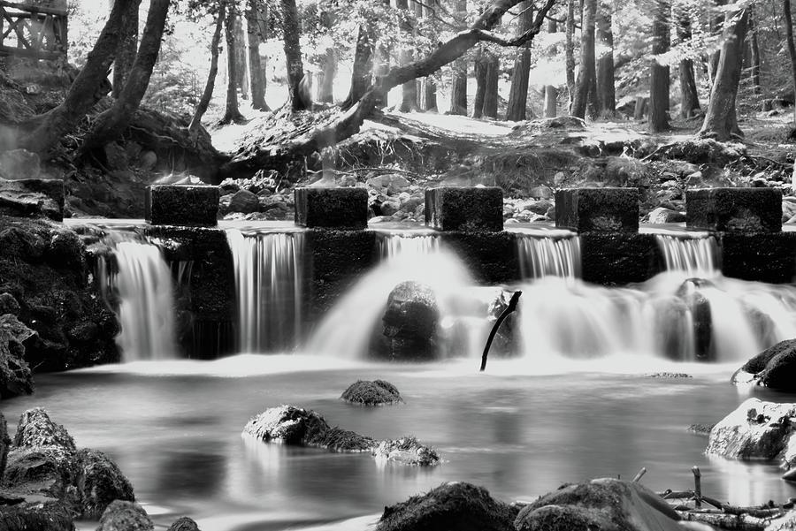 Tollymore Mono Stepping Stones Photograph by Neil R Finlay