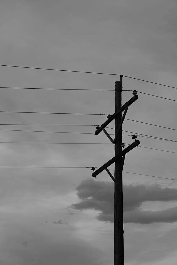 Monochromatic Telephone Pole Photograph by Lilliana Hooverson