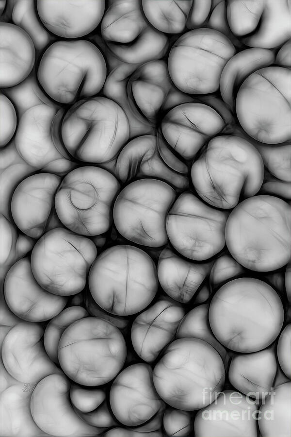 Monochrome Balls Aglow Photograph by Elaine Teague
