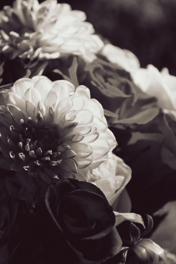 Monochrome Bouquet Photograph by W Craig Photography