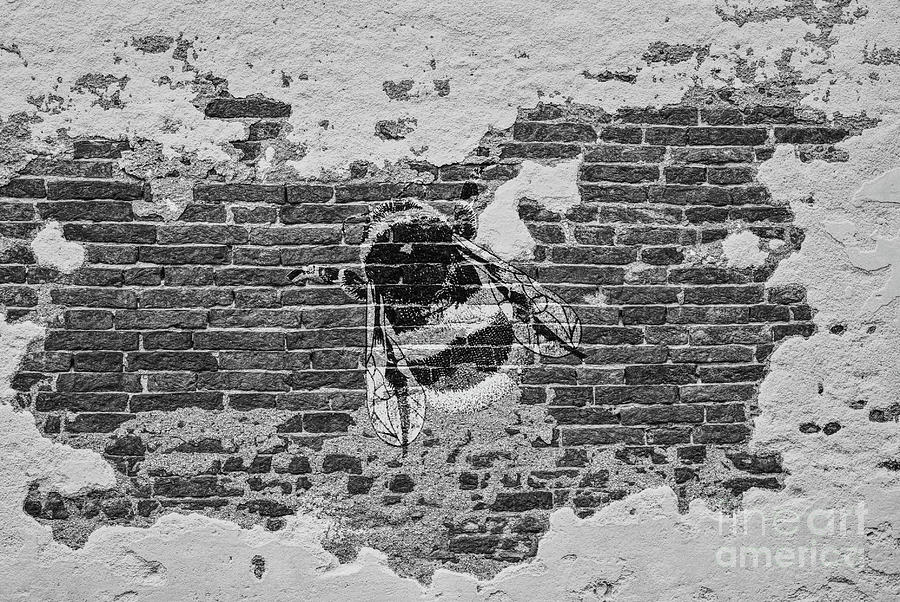 Monochrome Bumblebee On Brick Wall Graffiti Photograph by Pics By Tony