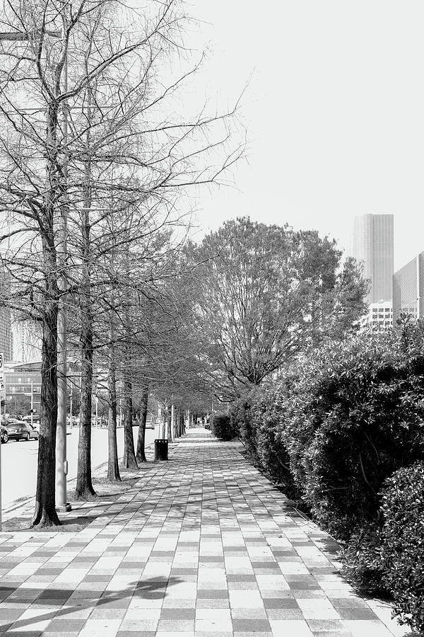 Monochrome City Sidewalk Photograph by Dan Sproul