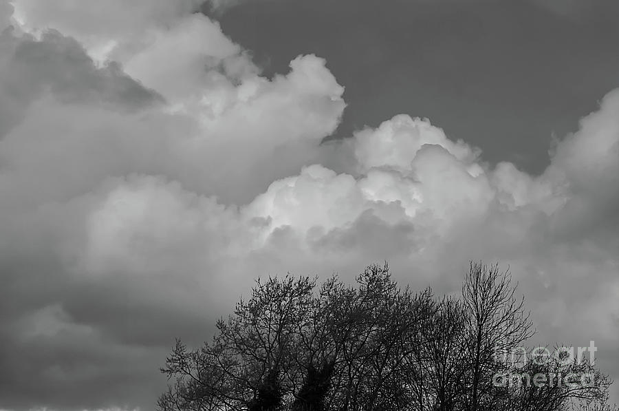 Monochrome clouds taken Chadderton Hall Park Manchester UK Photograph by Pics By Tony