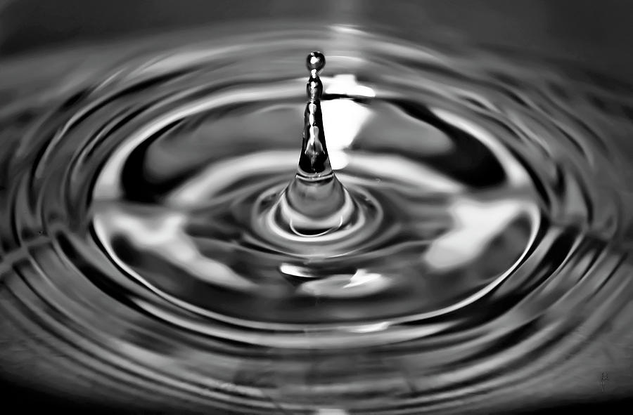 Monochrome Droplet Photograph by William Attard McCarthy - Fine Art America