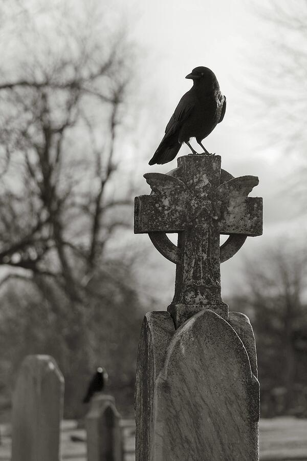 Graveyard Black and White Photography Gothic Decor Gothic 