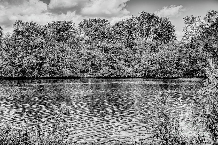 Monochrome Lake Photograph