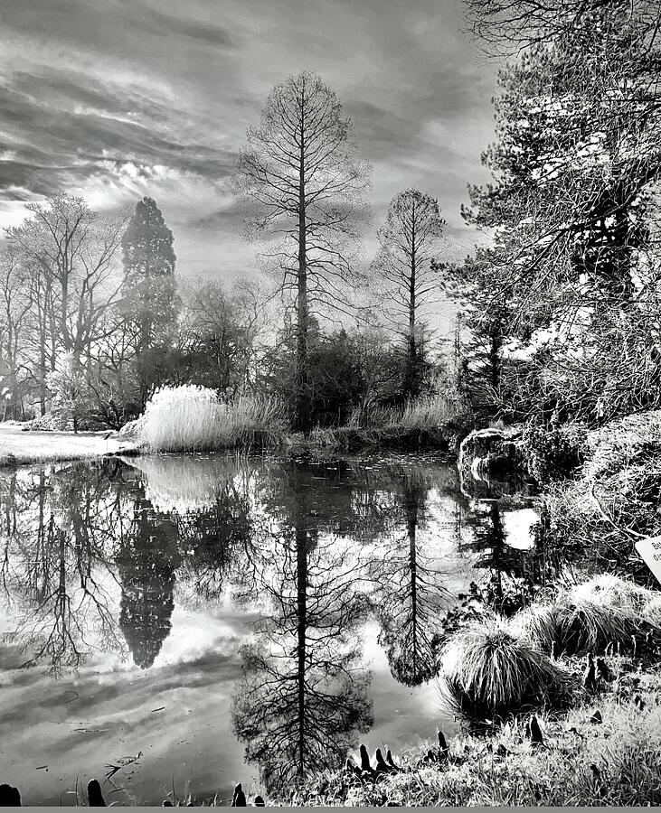Monochrome March 2024 Photograph by Richard Cummings