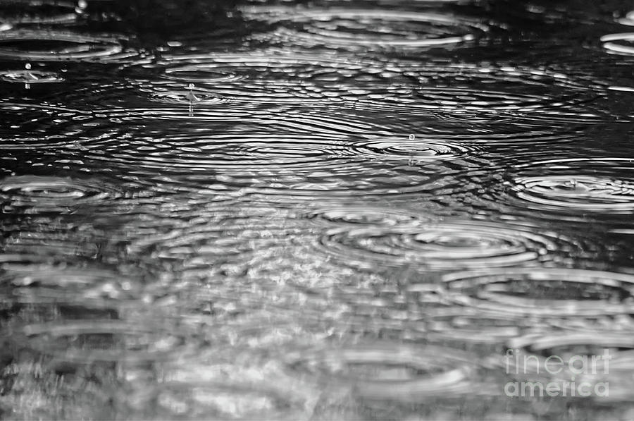 Monochrome of a muddy rain puddle Photograph by Pics By Tony