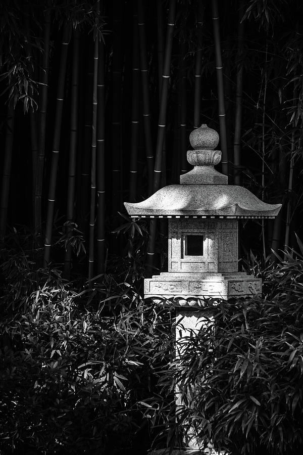 Monochrome Pagoda Photograph by Johnny Boyd