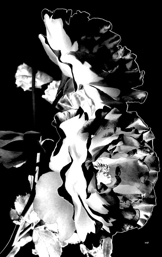 Monochrome Roses Mixed Media by Will Borden