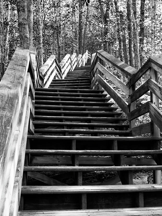 Monochrome Study of Wooden Stairs at Stone Mountain in North Car Photograph by Charles Floyd