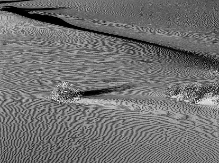 monochrome-wind-patterns-photograph-by-robert-potts-fine-art-america