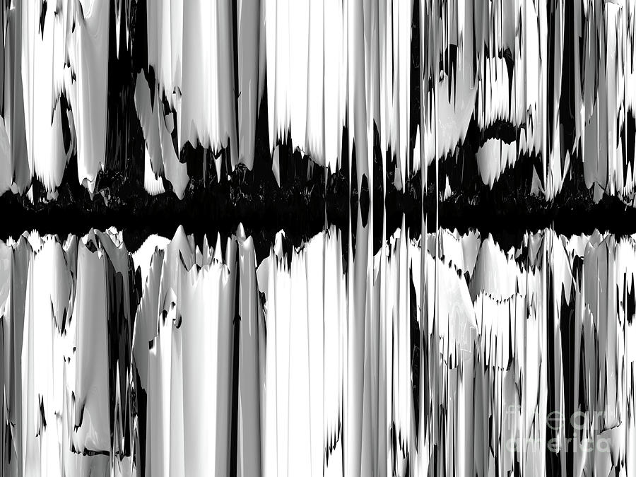 Monotone Fractal Reflection Digital Art by Phil Perkins