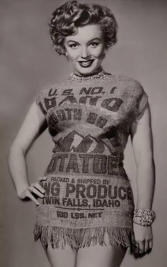 Marilyn Monroe Mixed Media - Monroe Potato Sack Dress by Jas Stem