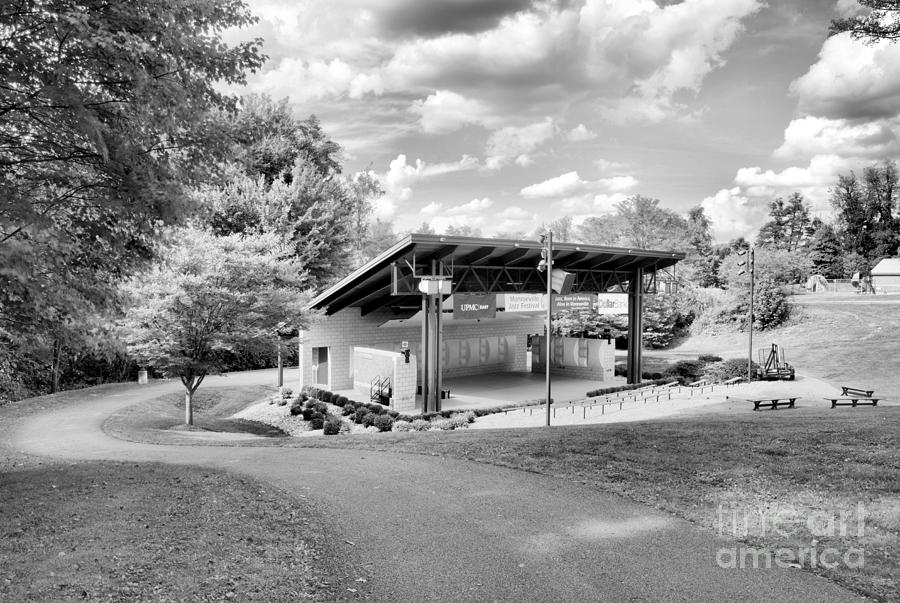 Monroeville Tall Trees Amphitheater Scenic View Blakc And White Photograph by Adam Jewell